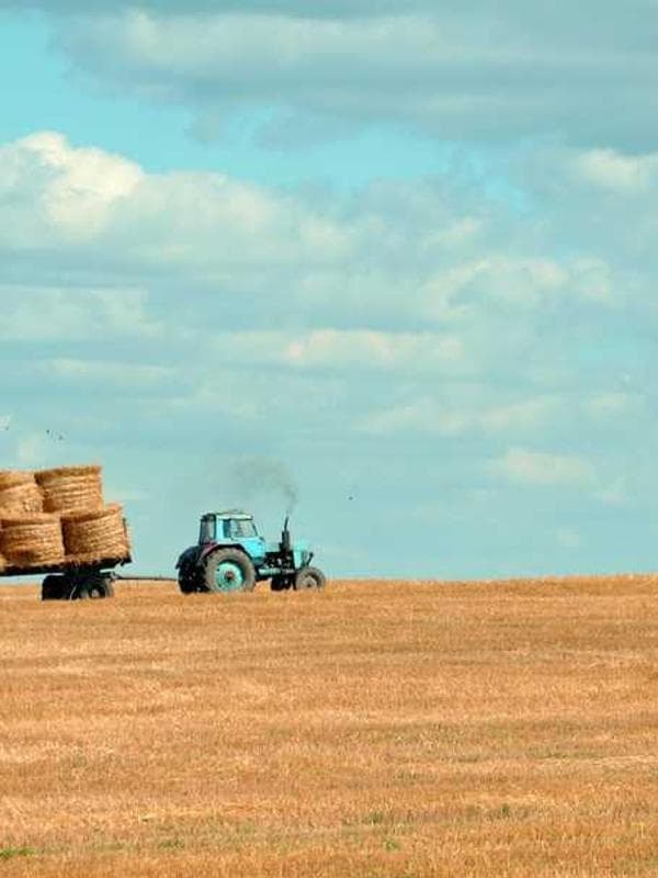 Mitternacht in Tokyo